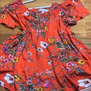 Paisley Raye Vanessa Shasta Daisy